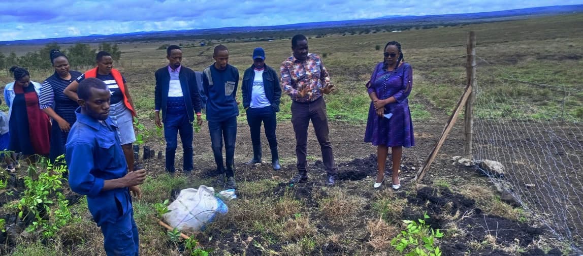 Climate Adaptation in Action