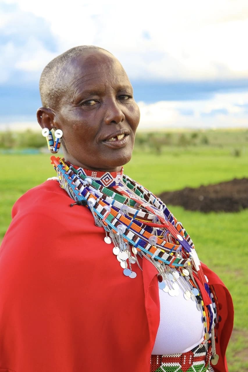 Theory of Change in Action